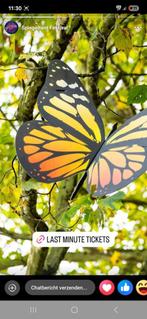 Spiegeltent kaartje 35 euro, Eén persoon