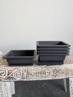 5 stuks kunststof Bonsai training pot met schaal 16x12.5cm, Tuin en Terras, Bloembakken en Plantenbakken, Kunststof, Minder dan 30 cm