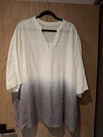Doris Streich wit met grijze tuniek, maat 52, Kleding | Dames, Grote Maten, Ophalen of Verzenden, Zo goed als nieuw, Blouse of Tuniek