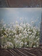 Foto canvas grassen, Huis en Inrichting, Woonaccessoires | Schilderijen, Tekeningen en Foto's, Ophalen, 75 tot 100 cm, 75 cm of meer