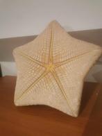 Grote zeester, Verzamelen, Mineralen en Fossielen, Ophalen of Verzenden, Overige typen