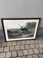 Mooie grote litho, Antiek en Kunst, Kunst | Litho's en Zeefdrukken, Ophalen