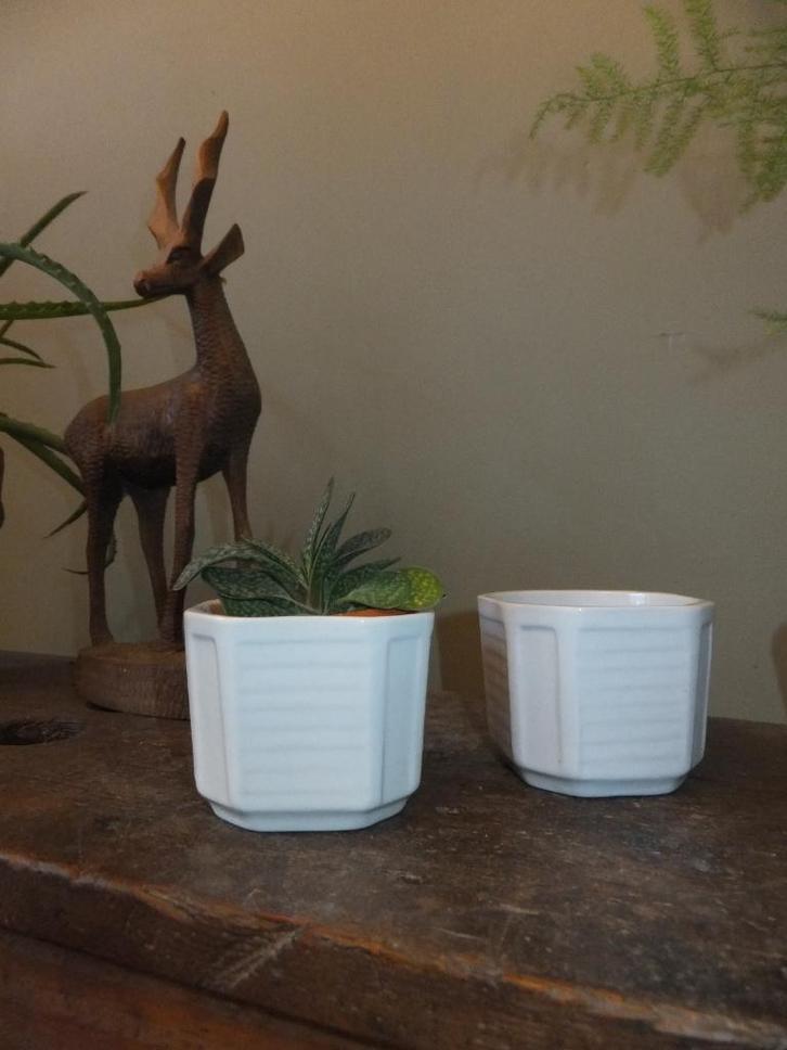 gratis verzenden vintage art deco cactus bloempotjes regency, Antiek en Kunst, Curiosa en Brocante, Ophalen