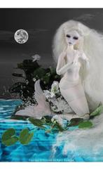 BJD Mystic Dolls Mermaid ‘White Tara’ limited 20 st, Ophalen of Verzenden, Nieuw, Pop