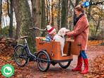 Babboe Go met certificaat de ideale hondenbakfiets, 4 kinderen of meer, Info@babboe.nl, Ophalen of Verzenden, Zo goed als nieuw