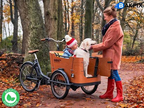 Babboe Go met certificaat de ideale hondenbakfiets, Fietsen en Brommers, Fietsen | Bakfietsen, Zo goed als nieuw, 4 kinderen of meer