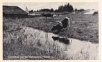 17109  Landschap aan de vinkeveense plassen Utrecht, Verzenden, 1940 tot 1960, Ongelopen, Utrecht
