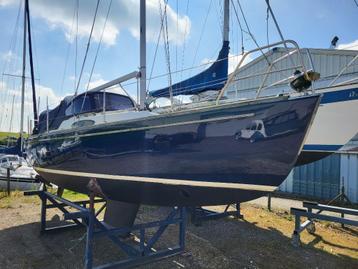 Saffier 800 Cabin Kajuitzeilboot beschikbaar voor biedingen