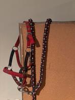 Gratis Shetland halster Harry’s horse, Dieren en Toebehoren, Ophalen, Gebruikt, Overige soorten