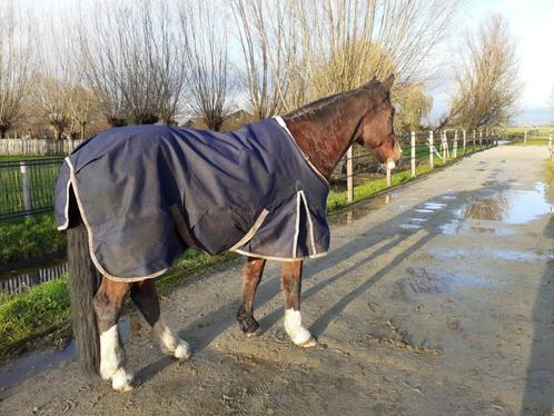 Weatherbeeta Comfitec, 50 gram, 185 / 6.0, Dieren en Toebehoren, Paarden en Pony's | Dekens en Dekjes, Gebruikt, Deken, Ophalen of Verzenden