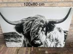 Canvas schilderij 120x80 cm Schotse hooglander, Ophalen, Nieuw, Schilderij, 100 tot 125 cm