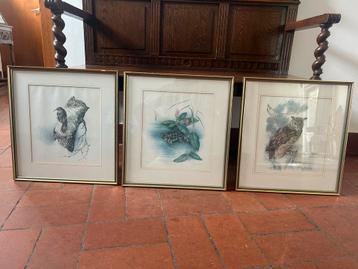 Set van 3 schilderijen Wilhelm Bühler – natuurillustraties beschikbaar voor biedingen