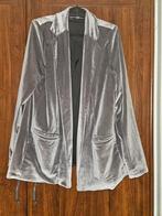 10days velours blazer maat 3/44, Kleding | Dames, Ophalen of Verzenden, Zo goed als nieuw, Maat 42/44 (L), Grijs