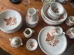 Vintage Bartolini Servies met Druivenrankmotief, Ophalen