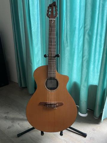 Breedlove AN250/CR beschikbaar voor biedingen