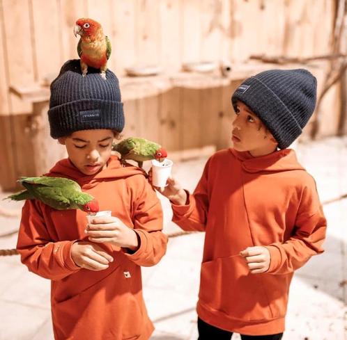 tamme aratingas erg lief voor kinderen, Dieren en Toebehoren, Vogels | Parkieten en Papegaaien, Parkiet, Meerdere dieren, Pratend