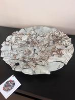 Fidrio design schaal, Schaal, Rond, Nieuw, Ophalen of Verzenden