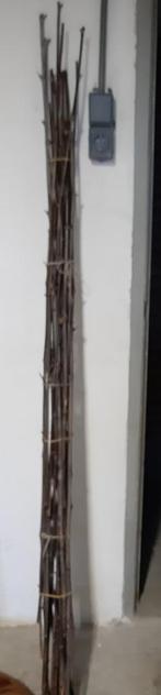 Bos bamboe hout, Tuin en Terras, Palen, Balken en Planken, Ophalen, Gebruikt, Palen, Hardhout