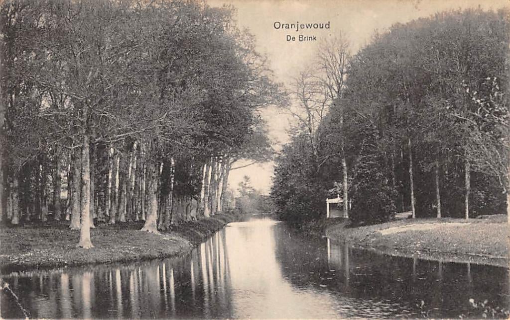 Oranjewoud De Brink Heerenveen 1915 Friesland, Verzenden, Voor 1920, Gelopen, Friesland