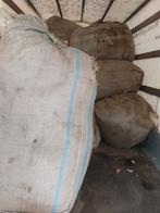 Schapenwol., Mannelijk, Schaap