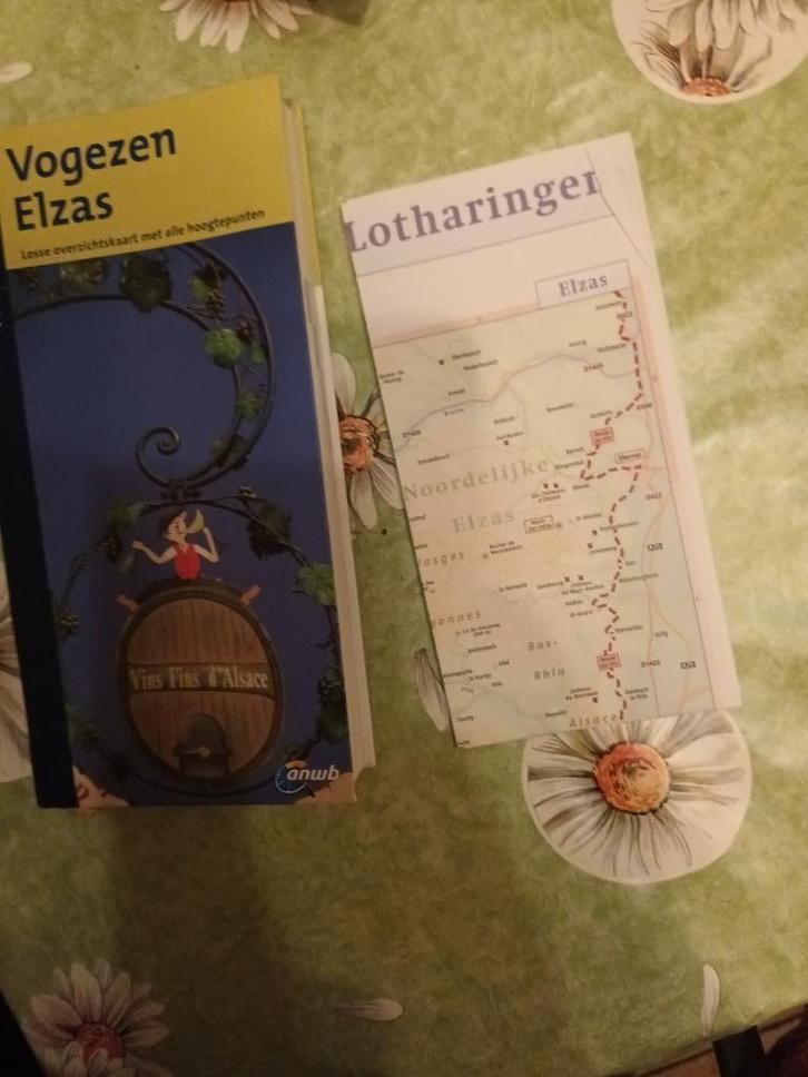 Vogezen Elzas Lotharingen Frankrijk ANWB Goud reisgids Metz, Boeken, Reisgidsen, Zo goed als nieuw, Reisgids of -boek, Europa