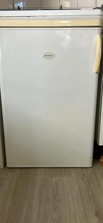 Ijskast, Witgoed en Apparatuur, Vriezers en Diepvrieskisten, Ophalen of Verzenden, Zo goed als nieuw, Vrijstaand, 160 cm of meer
