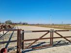 Pensionstalling Bornerbroek, Dieren en Toebehoren, 2 of 3 paarden of pony's, Nvt, Nvt, Nvt