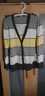 Vest Dfvv maat 42, Kleding | Dames, Geel, Maat 42/44 (L), Ophalen of Verzenden, Dfvv