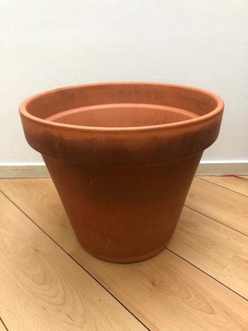 Terracotta bloempot 43cm beschikbaar voor biedingen