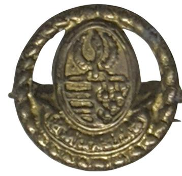 Insigne Indonesië - Speldje beschikbaar voor biedingen