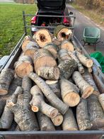 Vers gezaagd populieren brandhout - 1m3, Tuin en Terras, Haardhout, Minder dan 3 m³, Ophalen of Verzenden, Overige houtsoorten