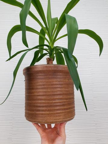 XL bloempot aardewerk. Vintage geribbelde plantenpot.  beschikbaar voor biedingen