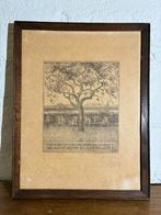 Ets boom met rijm, Simon Moulijn, 15 cm x 18 cm, Antiek en Kunst, Kunst | Etsen en Gravures, Ophalen of Verzenden