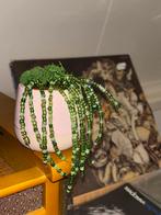 Handgemaakte hangplant van kralen, Ophalen of Verzenden, Overige soorten, Halfschaduw, Minder dan 100 cm