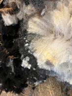 Schapenwol, Ophalen, Zo goed als nieuw