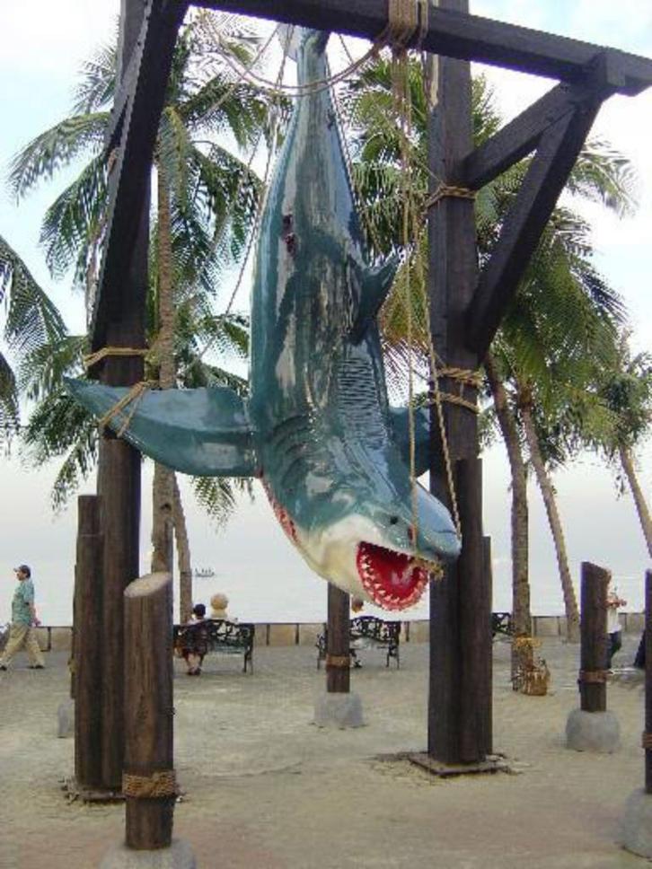 Jumbo Haai 630 cm - haaienbeeld, Verzamelen, Dierenverzamelingen, Nieuw, Ophalen
