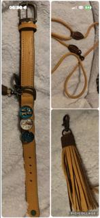 DWAM halsband en riem, Verzenden, Zo goed als nieuw