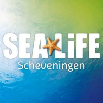 Sea Life Scheveningen 2e kaartje GRATIS beschikbaar voor biedingen