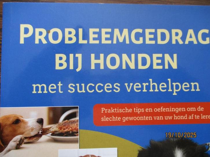 Probleemgedrag bij honden  Petra Krivy 9789044749342 #, Boeken, Dieren en Huisdieren, Gelezen, Honden, Ophalen of Verzenden