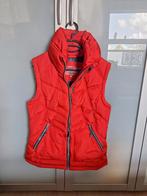 Bodywarmer, Kleding | Dames, Bodywarmers, Human Nature, Maat 38/40 (M), Ophalen of Verzenden, Zo goed als nieuw