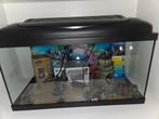 Aquarium, Dieren en Toebehoren, Vissen | Aquaria en Toebehoren, Ophalen, Zo goed als nieuw, Overige typen