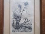 Suze de Lint (1878-1953), Ets Knotwilgen (Epeuvre Artiste)., Antiek en Kunst, Kunst | Etsen en Gravures, Ophalen