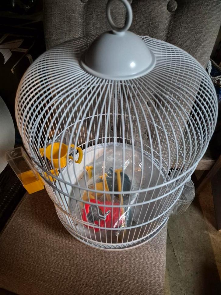 Kaasjeskruid zaden 25 zaden voor €1,-, Tuin en Terras, Bloembollen en Zaden, Volle zon, Ophalen of Verzenden