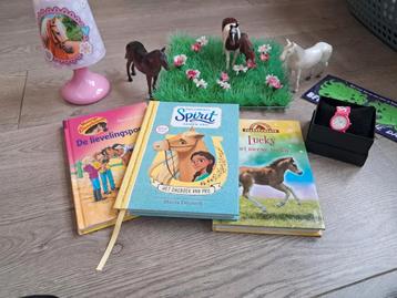 Pakket voor een paardenmeisje/-jongen beschikbaar voor biedingen