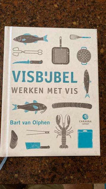 Bart van Olphen - Visbijbel beschikbaar voor biedingen