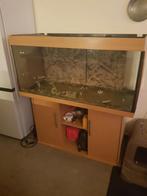 Nette jewel rio 180liter met kast  aangeboden, Dieren en Toebehoren, Vissen | Aquaria en Toebehoren, Ophalen of Verzenden, Zo goed als nieuw