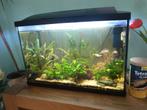 Twee keer een aquarium super fish 70 liter. Met toebehoren, Ophalen, Zo goed als nieuw, Gevuld zoetwateraquarium