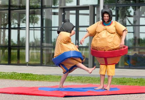 Sumoworstelen te huur! In Apeldoorn en omgeving..., Hobby en Vrije tijd, Feestartikelen | Verhuur, Zo goed als nieuw, Overige