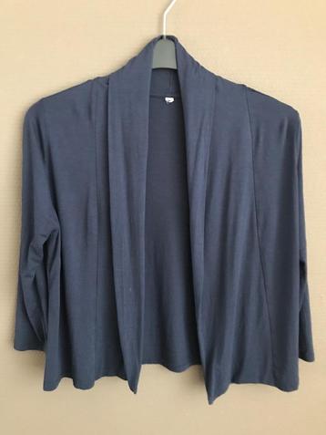 Blauw dames vestje beschikbaar voor biedingen