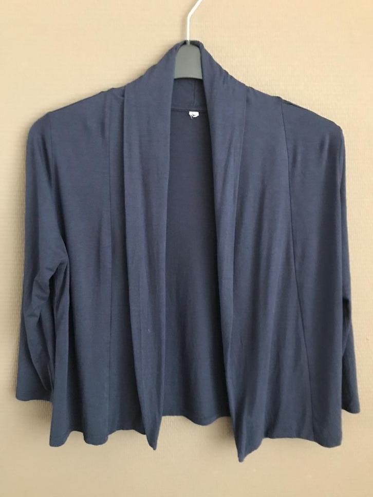 Blauw dames vestje, Kleding | Dames, Truien en Vesten, Zo goed als nieuw, Maat 42/44 (L), Blauw, Ophalen of Verzenden